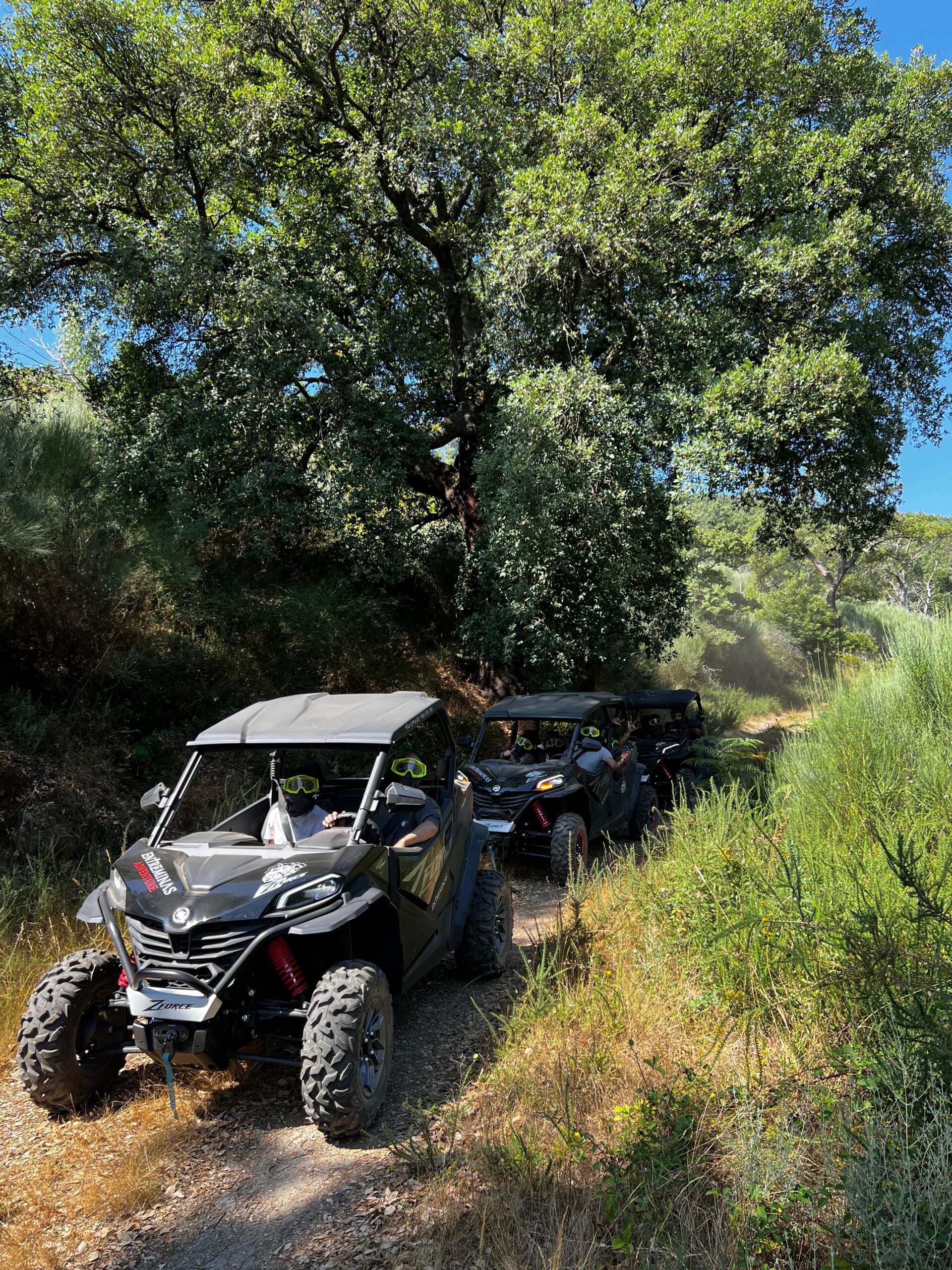 Passeios de Buggy Tresminas