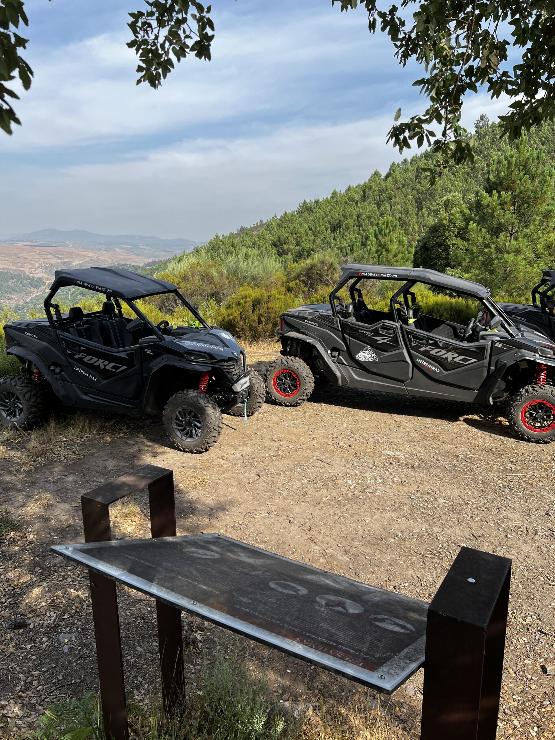 Tresminas Galeria Buggys